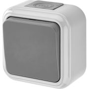 Выключатель 1-кл ОП сер. Bylectrica Пралеска АКВА IP54 10A