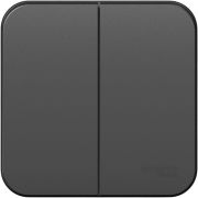 Выключатель 2-кл. ОП Blanca 10А IP20 (сх. 5) 250В с изолир. пластиной антрацит SE BLNVA105016